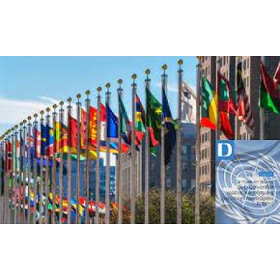 Convention ONU : des recommandations et après ?